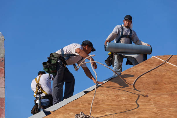Roof Gutter Cleaning in Lewisburg, OH