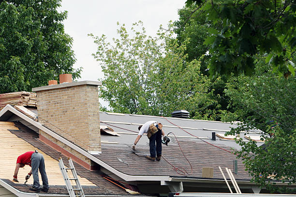 Best Roof Gutter Cleaning  in Lewisburg, OH